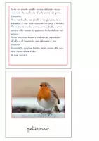 anteprima - Flashcard - Nomenclatura Montessori - Animali vertebrati 1 - Pagina 2