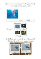 anteprima - Esercizi - Nomenclatura Montessori - Animali vertebrati 2 - Pagina 1