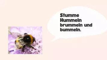 Vorschau - Präsentationen/Tafelbilder - Zungenbrecher - lustige Spielerei mit Doppelten Mitlauten - Seite 3