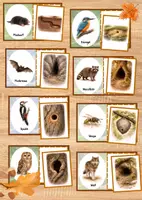 Vorschau - Spiele - Tiere und ihre Quartiere – Legespiel zur Zuordnung von 24 heimischen Tierbehausungen - Seite 3