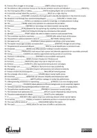 Vista previa - Hojas de trabajo - NOUN SUFFIXES – Worksheet (80 Sentences) - página 2