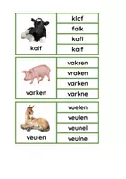 Voorbeeld - 2 soorten knijpkaarten lente: woordherkenning en getal koppelen aan hoeveelheid - Pagina 2