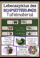 Vorschau - Poster - LEBENSZYKLUS DES SCHMETTERLINGS - Tafelmaterial - Deckblatt