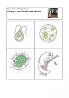 Vorschau - Arbeitsblätter - Unterrichtsreihe zur Zellbiologie (Einführungsphase NRW) - Seite 1
