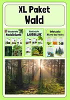 Vorschau - Poster - XL Paket Wald - Steckbriefe + Infotexte - Deckblatt