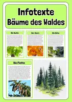 Vorschau - Poster - XL Paket Wald - Steckbriefe + Infotexte - Seite 1