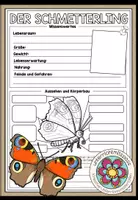 Vorschau - Arbeitsblätter - DER SCHMETTERLING - Steckbrief - Deckblatt