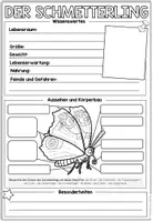 Vorschau - Arbeitsblätter - DER SCHMETTERLING - Steckbrief - Seite 1