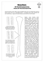 Vorschau - Arbeitsblätter - Sport: Trainingslehre - Knochen (Knochenanpassung) - Seite 1