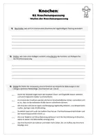 Vorschau - Arbeitsblätter - Sport: Trainingslehre - Knochen (Knochenanpassung) - Seite 2