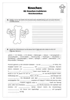 Vorschau - Arbeitsblätter - Sport: Trainingslehre - Knochen (Knochen trainieren) - Seite 2