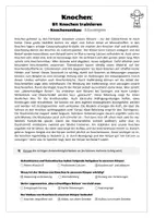 Vorschau - Arbeitsblätter - Sport: Trainingslehre - Knochen (Knochen trainieren) - Seite 3