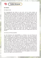 Vorschau - Arbeitsblätter - Experiment Positiver Nachbildeffekt des Auges - Seite 2