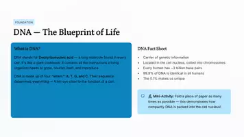 Vorschau - Präsentationen/Tafelbilder - Synthetic Biology Presentation | Middle School - Seite 3