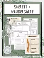 Vorschau - Arbeitsblätter - AB zum Skelett, dem Fußskelett und der Wirbelsäule - Deckblatt