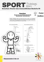 Vorschau - Arbeitsblätter - Sport: Trainingslehre - Knochen (Poster des menschlichen Skeletts IV) - Deckblatt