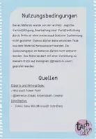 Vorschau - Präsentationen/Tafelbilder - Geometrische Körper - Merkplakate - Mathematik - Seite 1