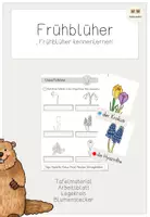 Vorschau - Arbeitsblätter - Unterrichtsreihe Frühblüher: Frühblüher kennenlernen - Deckblatt