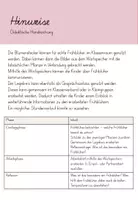 Vorschau - Arbeitsblätter - Unterrichtsreihe Frühblüher: Frühblüher kennenlernen - Seite 1