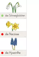 Vorschau - Arbeitsblätter - Unterrichtsreihe Frühblüher: Frühblüher kennenlernen - Seite 3