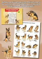Vorschau - Bildkarten - Hunde Körpersprache Bildkarten – 16 Schäferhund-Posen für Unterricht & Prävention - Seite 3