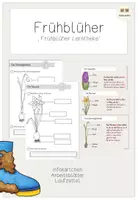 Vorschau - Arbeitsblätter - Unterrichtsreihe Frühblüher: Lerntheke Frühblüher - Deckblatt