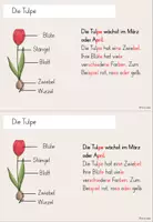 Vorschau - Arbeitsblätter - Unterrichtsreihe Frühblüher: Lerntheke Frühblüher - Seite 3