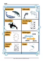 Vorschau - Unterrichtsreihen - Meer Thema Wale und Delfine im Kindergarten Projekt Idee Kita Meeresforscher - Seite 1