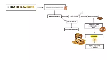 anteprima - Materiale di supporto/inclusione - STORIA CLASSE 3 MAPPE - Pagina 3