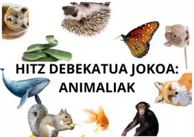 Vista previa - Juegos / Gamificación - Animalien Hitz debekatua - Portada