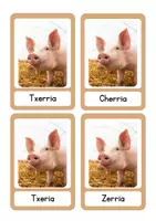 Vista previa - Juegos / Gamificación - JOKOA NOLA IDAZTEN DA - página 3