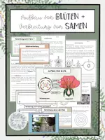 Vorschau - Arbeitsblätter - Aufbau der Blüte + Verbreitung von Samen und Früchten - Deckblatt