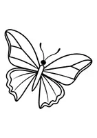 Vorschau - Mal- und Bastelvorlagen - Ausmalbilder Schmetterlinge und Blumen - Seite 3