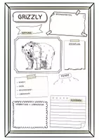 Vorschau - Arbeitsblätter - Steckbrief zum Grizzlybär (2 Versionen) - Deckblatt