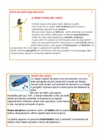 anteprima - Altro tipo di materiale - Il senet; antico gioco egizio: costruiamolo insieme! - Pagina 1