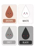Vorschau - Fördermaterial/Inklusion - Farben Flashcards (ENG) – 12 Bildkärtchen für Kindergarten, Vorschule & Morgenkreis. Sprachförderung & Englisch als Zweitsprache. - Seite 3