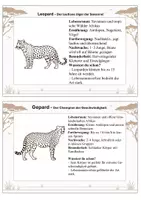 Vorschau - Stationenlernen - Tiere der Savanne – 24 Wissenskarten für Kinder - Seite 3