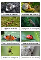 Vorschau - Spiele - Bewegungskarten: Tiere auf der Wiese- kostenlos - Seite 1