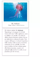anteprima - Esercizi - Filastrocche e indovinelli - Phylum degli invertebrati - Pagina di copertina