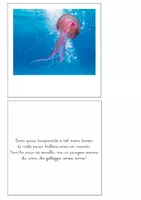 anteprima - Esercizi - Filastrocche e indovinelli - Phylum degli invertebrati - Pagina 2