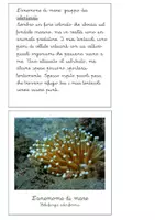 anteprima - Esercizi - Filastrocche e indovinelli - Phylum degli invertebrati - Pagina 3