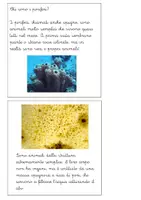 anteprima - Altro tipo di materiale - Libretto sul phylum dei poriferi - Pagina 1