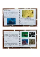 anteprima - Altro tipo di materiale - Libretto sul phylum dei molluschi - Pagina 1