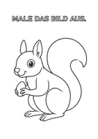 Vorschau - Arbeitsblätter - Ausmalbild - Eichhörnchen (PDF) - Deckblatt