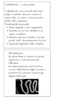 anteprima - Altro tipo di materiale - Libretto sugli anellidi, nematodi e platelminti - Pagina 2