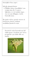 anteprima - Altro tipo di materiale - Libretto sul phylum degli artropodi - Pagina 2