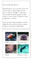 anteprima - Altro tipo di materiale - Libretto sul phylum degli echinodermi - Pagina 1