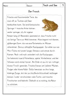 Vorschau - Arbeitsblätter - Lesen Tiere im Teich und See - Leseverstehen - Seite 1