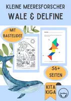 Vorschau - Unterrichtsreihen - Meer Thema Wale und Delfine im Kindergarten Projekt Idee Kita Meeresforscher - Deckblatt
