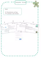 Vorschau - Arbeitsblätter - Stationsarbeit Sachunterricht, Die Sinne- Das Auge - Deckblatt